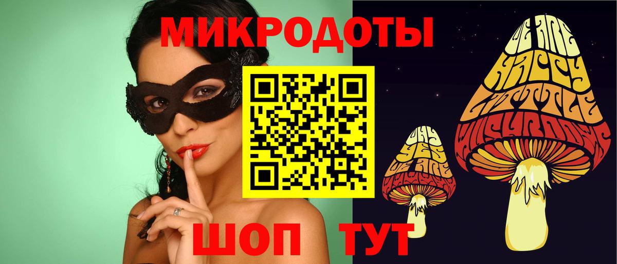 Галлюциногенные грибы Psilocybe Костомукша