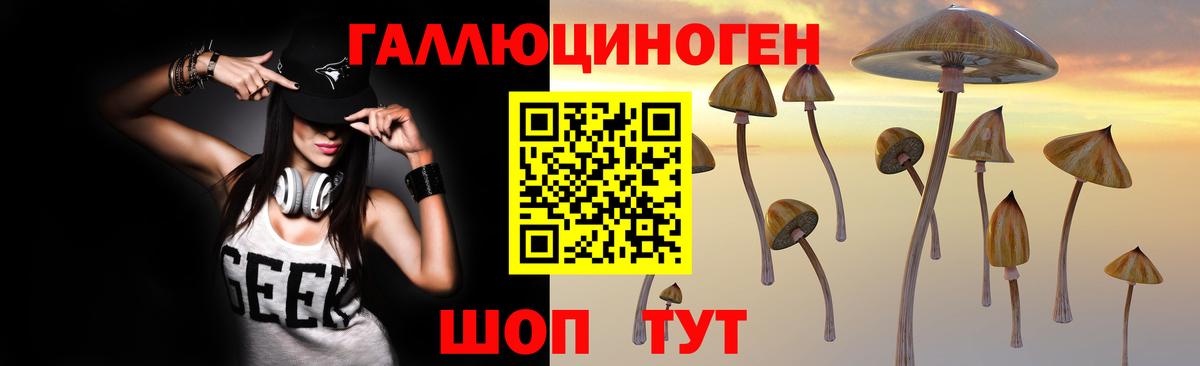 Псилоцибиновые грибы Psilocybe  Вход с VPN  Костомукша 